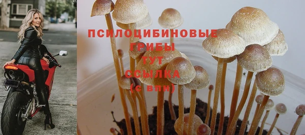 ALPHA PVP Покачи