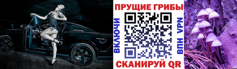 Галлюциногенные грибы Magic Shrooms  купить наркотики сайты  Владикавказ 