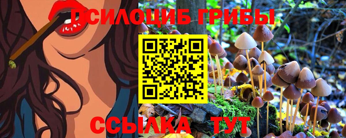 Галлюциногенные грибы Psilocybe Владикавказ