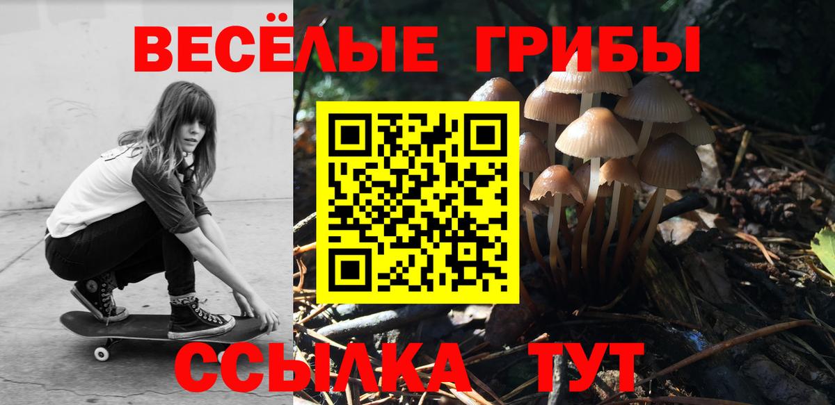 цены наркотик  Галлюциногенные грибы мицелий  Вход с VPN  Псилоцибиновые грибы Cubensis  Владикавказ 