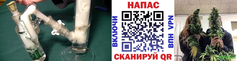 Марихуана сатива  наркотики  Владикавказ 
