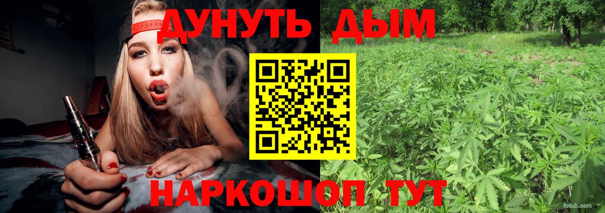 Канабис ГИДРОПОН  Каннабис AK-47  Владикавказ  Марихуана White Widow  Вход с VPN 